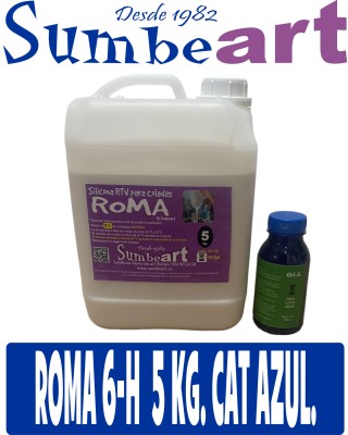 ROMA 6-H 5 Kg. Catalizador...