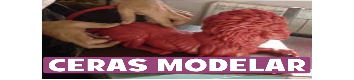 CERA MODELAR