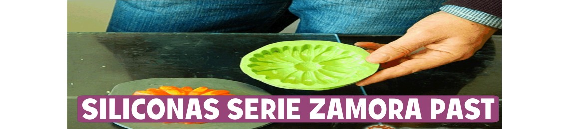 Siliconas ZAMORA PAST