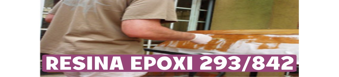 RESINA EPOXI 293/842